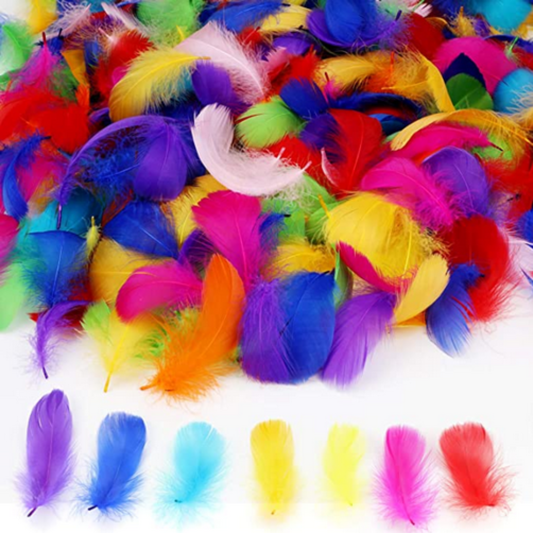 Plumas De Colores Dragon Surtido X 12 Und